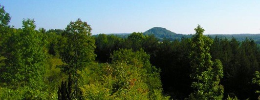 natcenterview700x270