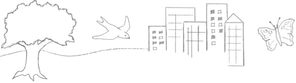 Pasted Graphic